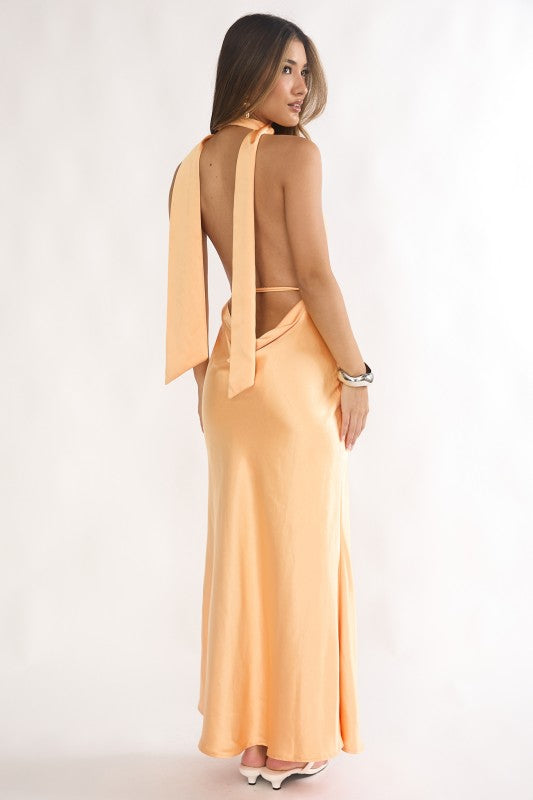 Halterneck Long Silk Dress