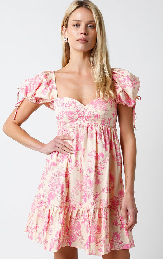 Penelope Puffy Sleeves Dress