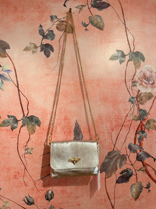 Metallic Leather Bag